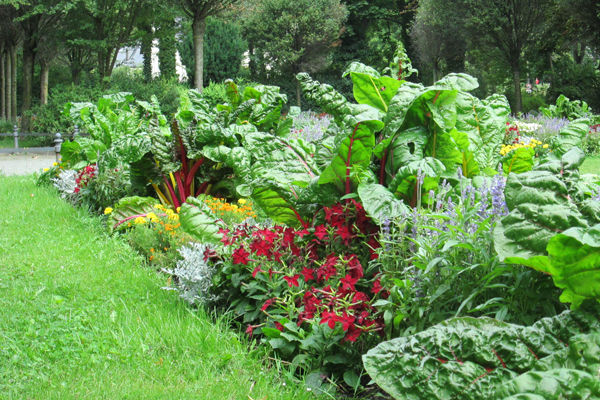 Gartenführungen 2017 Gartenführungen 2017…